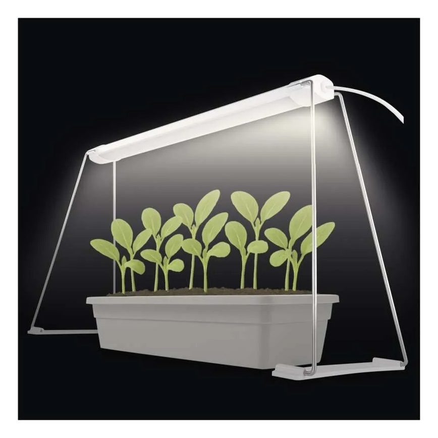 Lampe LED d'intérieur pour la culture des plantes GROW LED/15W/230V