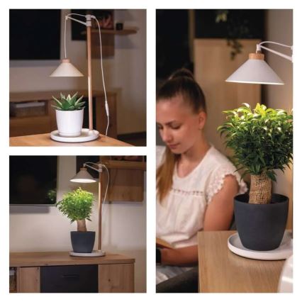 Lampe LED d'intérieur pour la culture des plantes GROW LED/7W/5V