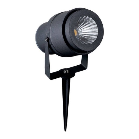 Lampe LED extérieure  1xLED/12W/230V IP65