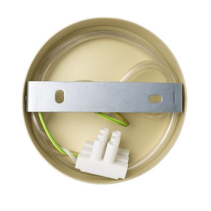 Lampe murale CAPITAL 1xGX53/15W/230V dorée