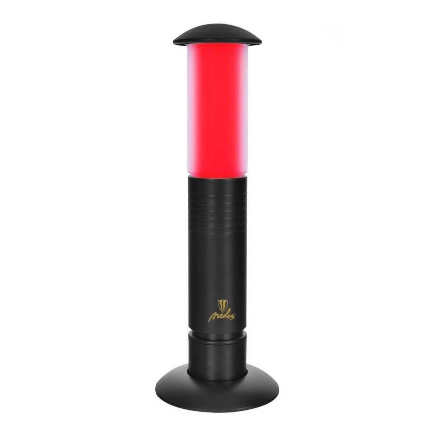 Lampe portable LED 2xLED/1xD IPX4