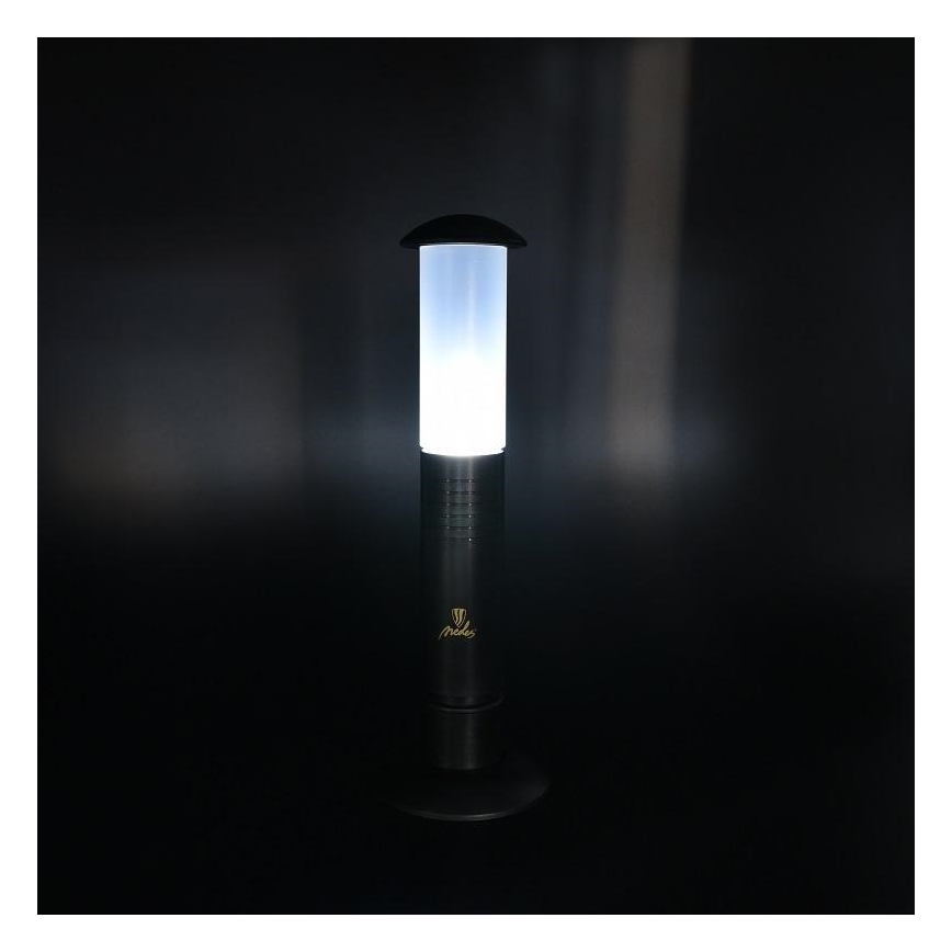 Lampe portable LED 2xLED/1xD IPX4