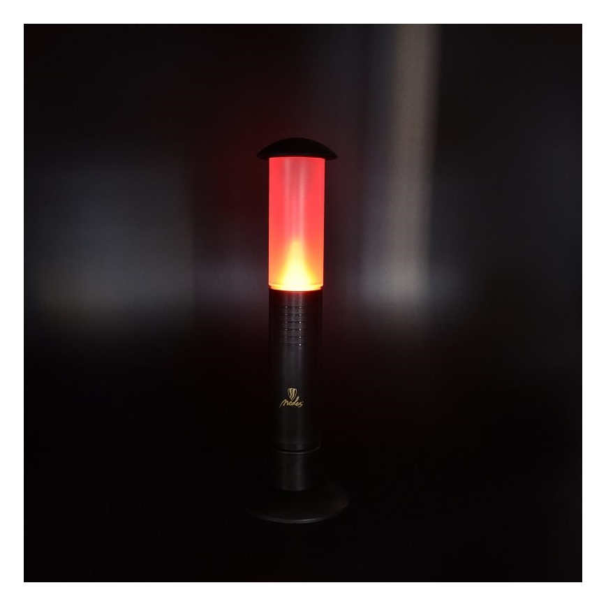 Lampe portable LED 2xLED/1xD IPX4