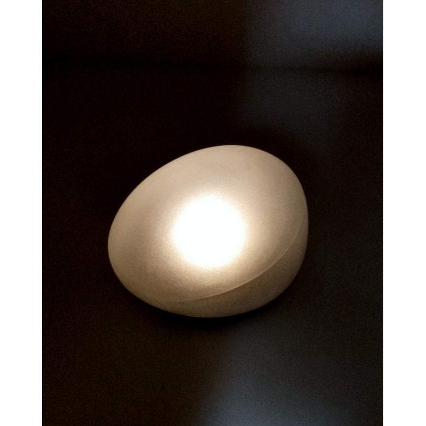 Lampe solaire à LED 2xLED/1,2V 300 mAh IP44 noire/blanche