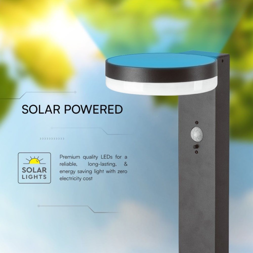 Lampe solaire avec détecteur LED/2W/3,7V IP54 3000K 2200 mAh arrondi noir