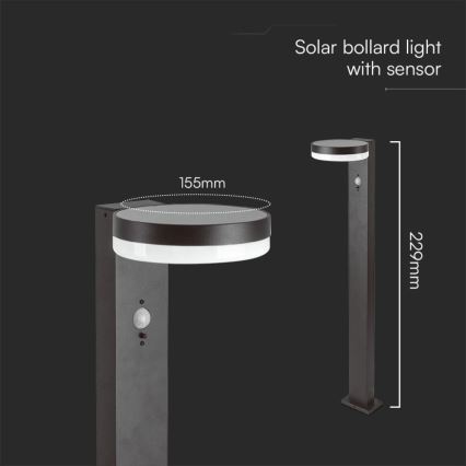 Lampe solaire avec détecteur LED/2W/3,7V IP54 3000K arrondi noir