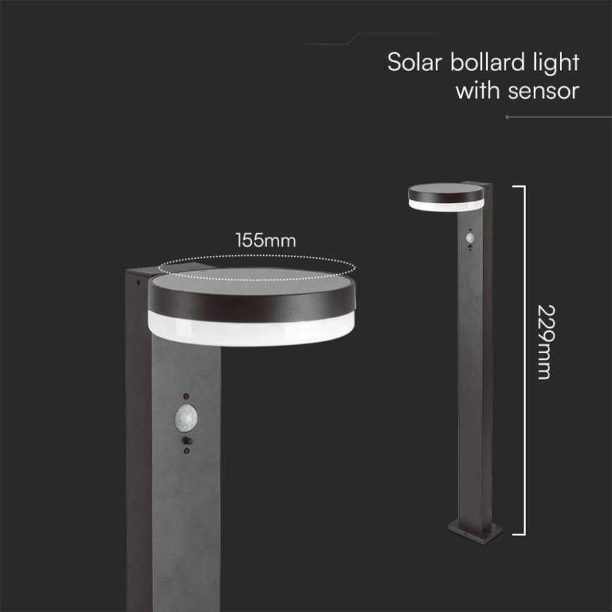 Lampe solaire avec détecteur LED/2W/3,7V IP54 3000K 2200 mAh arrondi noir