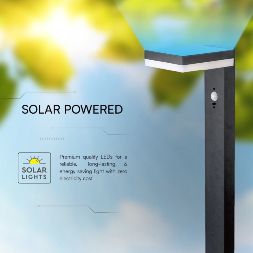Lampe solaire avec détecteur LED/2W/3,7V IP54 3000K noir angulaire