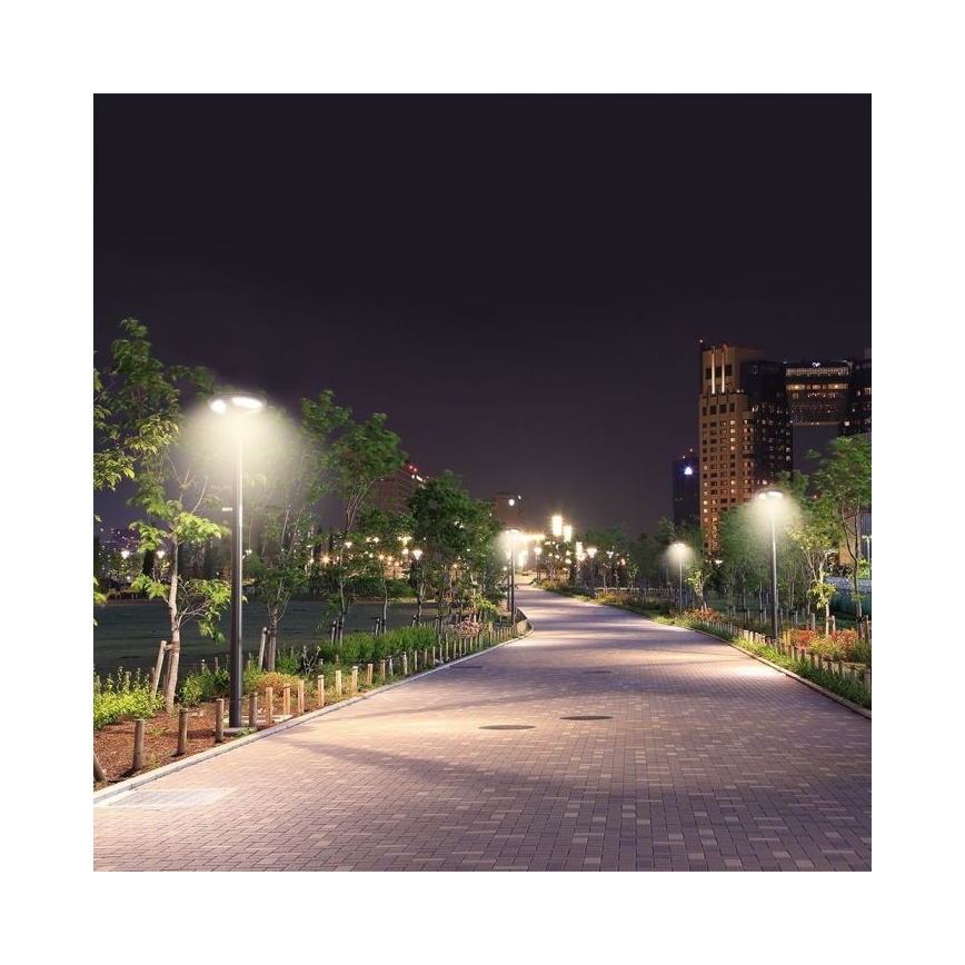 Lampe solaire LED de rue avec capteur LED/10W/3,2V IP65 4000K 15000 mAh + télécommande