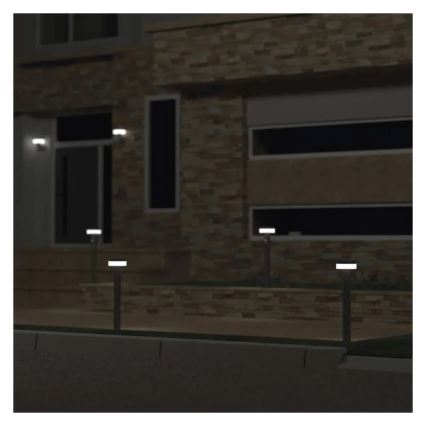Lampe solaire LED avec capteur LED/2W/3,7V 1200 mAh IP44 50 cm
