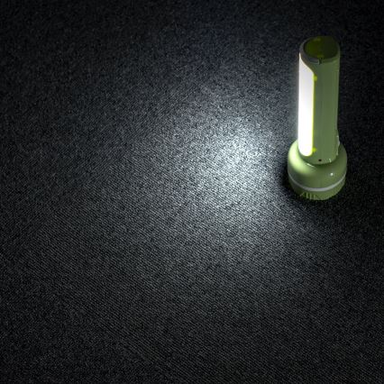 Lampe torche rechargeable LED/1W/230V 330 brillant 1000 mAh