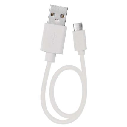 Lampe torche rechargeable LED LED/USB/3,7V 80 lm 800mAh
