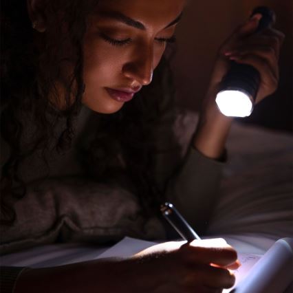 Lampe torche rechargeable USB LED/10W/5V IP54 2000 mAh 1000 brillant