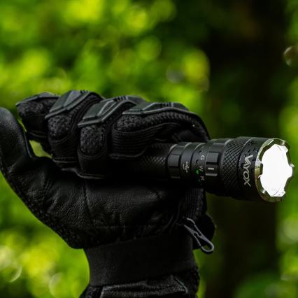 Lampe torche RGBW à intensité variable et rechargeable LED/15W/5V IP66 1500 brillant 2000 mAh