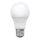 LED Ampoule ECOLINE A60 E27/15W/230V 4000K - Brilagi