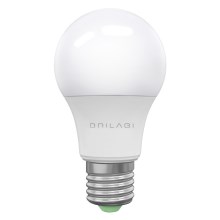 LED Ampoule ECOLINE A60 E27/15W/230V 6500K - Brilagi