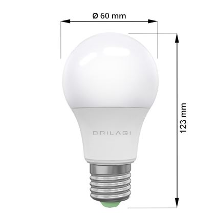 LED Ampoule ECOLINE A60 E27/15W/230V 6500K - Brilagi