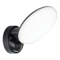 LED applique murale d'extérieur OLAF LED/10W/230V IP44 noire