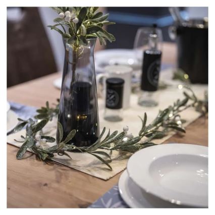 LED Décoration de Noël 25xLED/3xAA