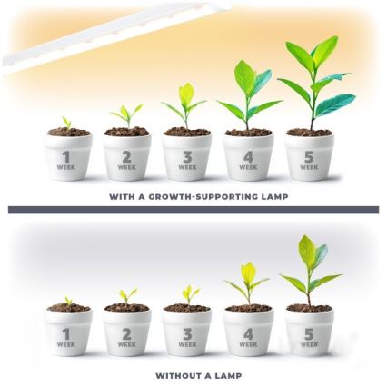 Luminaire LED sous-meuble pour culture de plantes GROWLY LED/9W/230V blanc