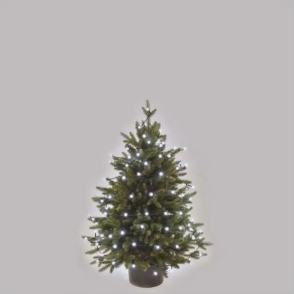 LED guirlande lumineuse de Noël d'extérieur 80xLED/8 fonctions 13 m blanc froid IP44