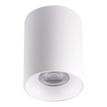 LED Plafonnier RITI 1xGU10/25W/230V blanc