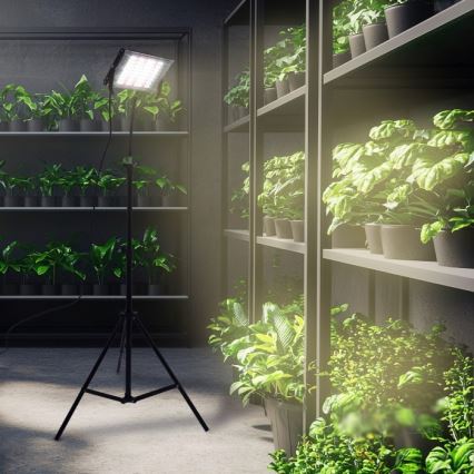 LED Projecteur avec support pour la culture des plantes FIRON LED/45W/230V IP54 noir