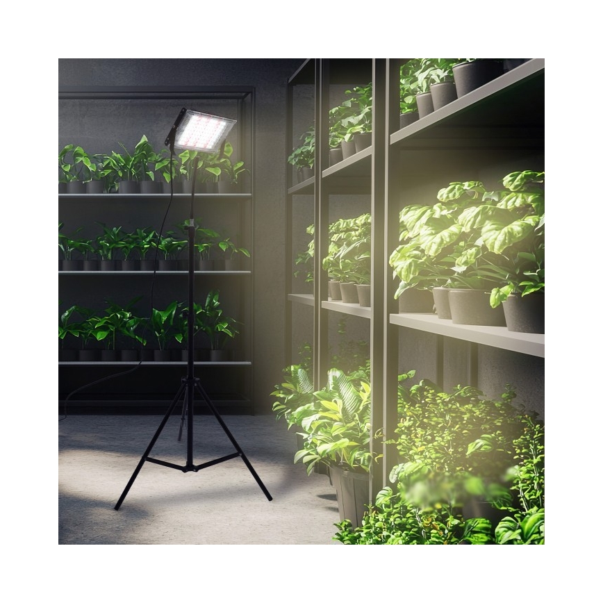 LED Projecteur avec support pour la culture des plantes FIRON LED/45W/230V IP54 noir