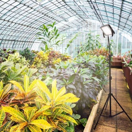 LED Projecteur avec support pour la culture des plantes FIRON LED/45W/230V IP54 noir