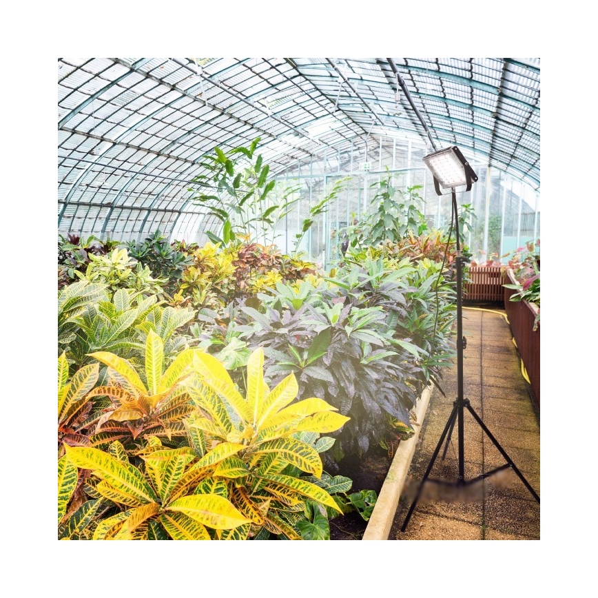 LED Projecteur avec support pour la culture des plantes FIRON LED/45W/230V IP54 noir