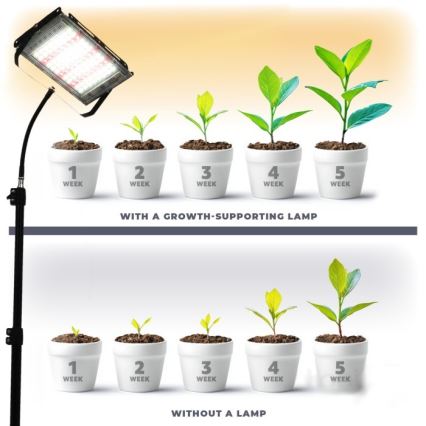 LED Projecteur avec support pour la culture des plantes FIRON LED/45W/230V IP54 noir