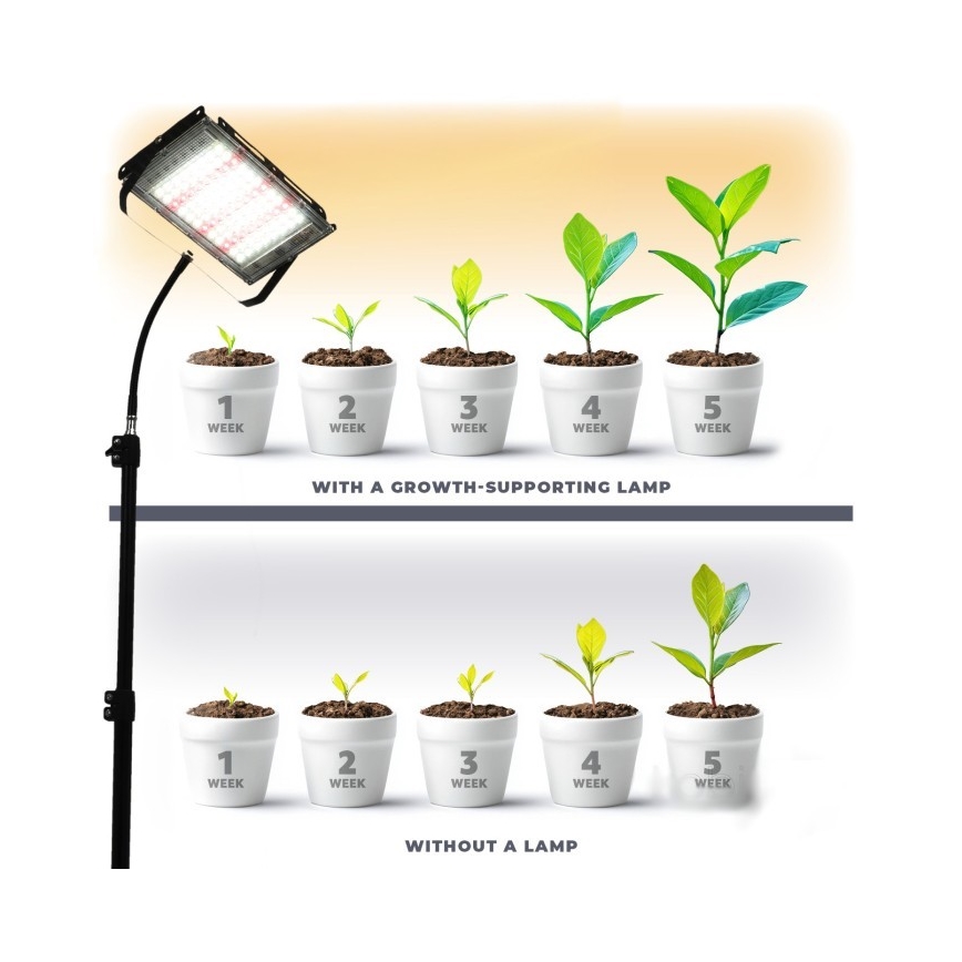 LED Projecteur avec support pour la culture des plantes FIRON LED/45W/230V IP54 noir