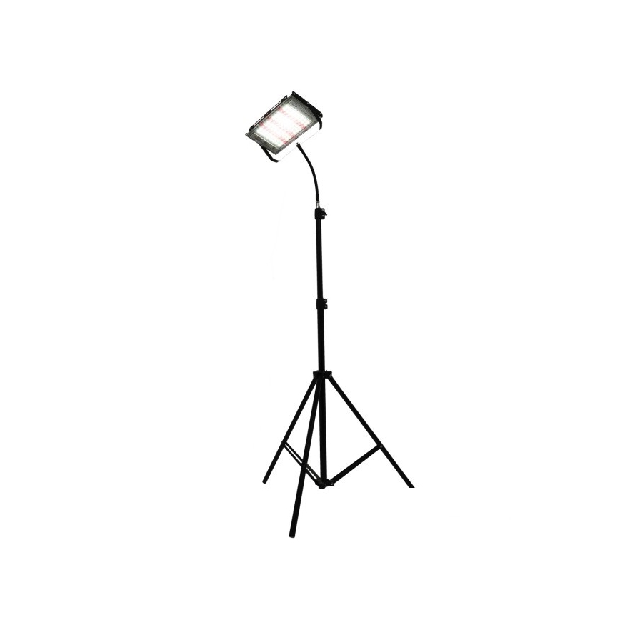 LED Projecteur avec support pour la culture des plantes FIRON LED/45W/230V IP54 noir