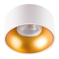 LED Spot encastrable MINI RITI 1xGU10/25W/230V blanc/doré