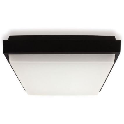 LED2 - Plafonnier LED extérieur QUADO LED/10W/230V anthracite IP54