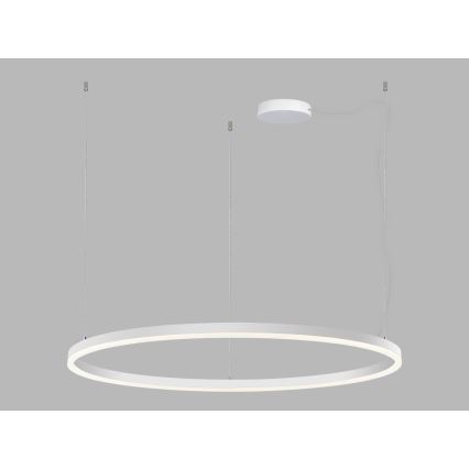 LED2 - Suspension filaire à intensité variable CIRCLE LED/80W/230V 3000K/4000K d. 100 cm blanc