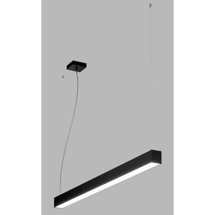 LED2 - Suspension filaire NOLI LED/40W/230V 3000K/3500K/4000K noir