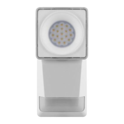 Ledvance - Applique murale extérieur LED avec capteur SPOT LED/8W/230V IP55 blanc