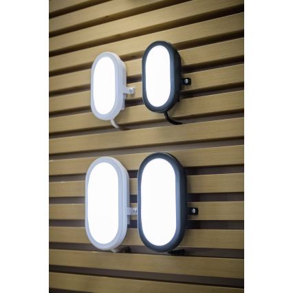 Ledvance - Applique murale LED extérieure  BULKHEAD LED/6W/230V IP54 noir