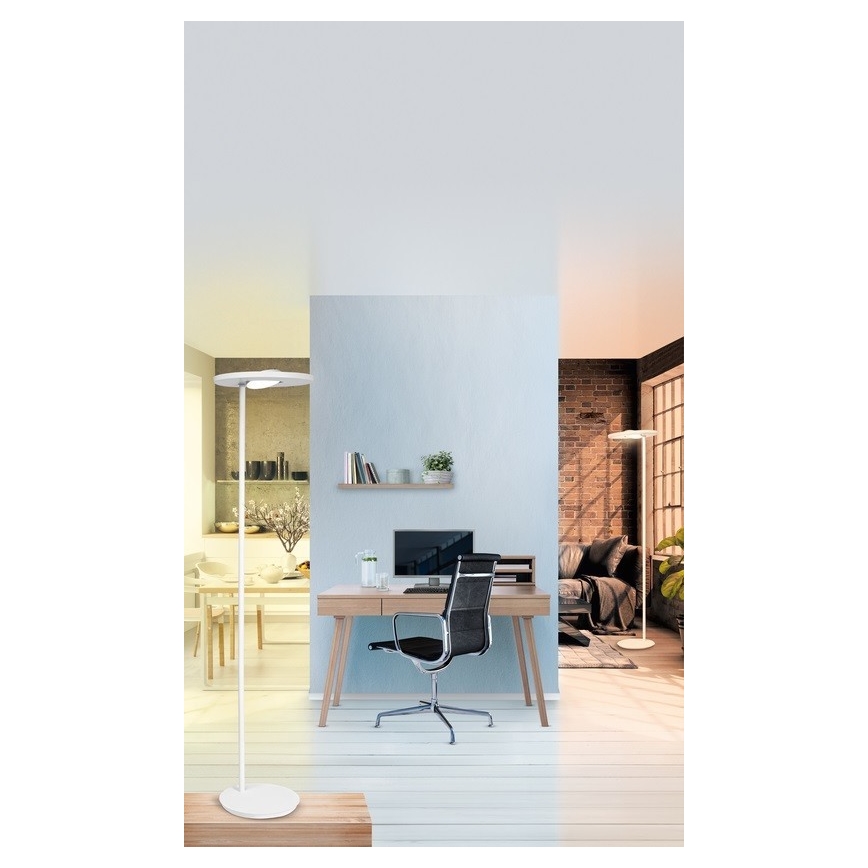 Ledvance - Lampadaire à intensité variable SUN@HOME LED/36W/230V 2200-5000K CRI 95 Wi-Fi