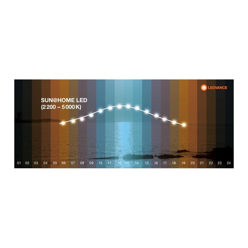 Ledvance - Lampadaire à intensité variable SUN@HOME LED/36W/230V 2200-5000K CRI 95 Wi-Fi