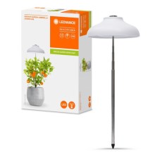 Ledvance - Lampe d'intérieur LED pour plantes GARDEN LIGHT LED/5W/5V