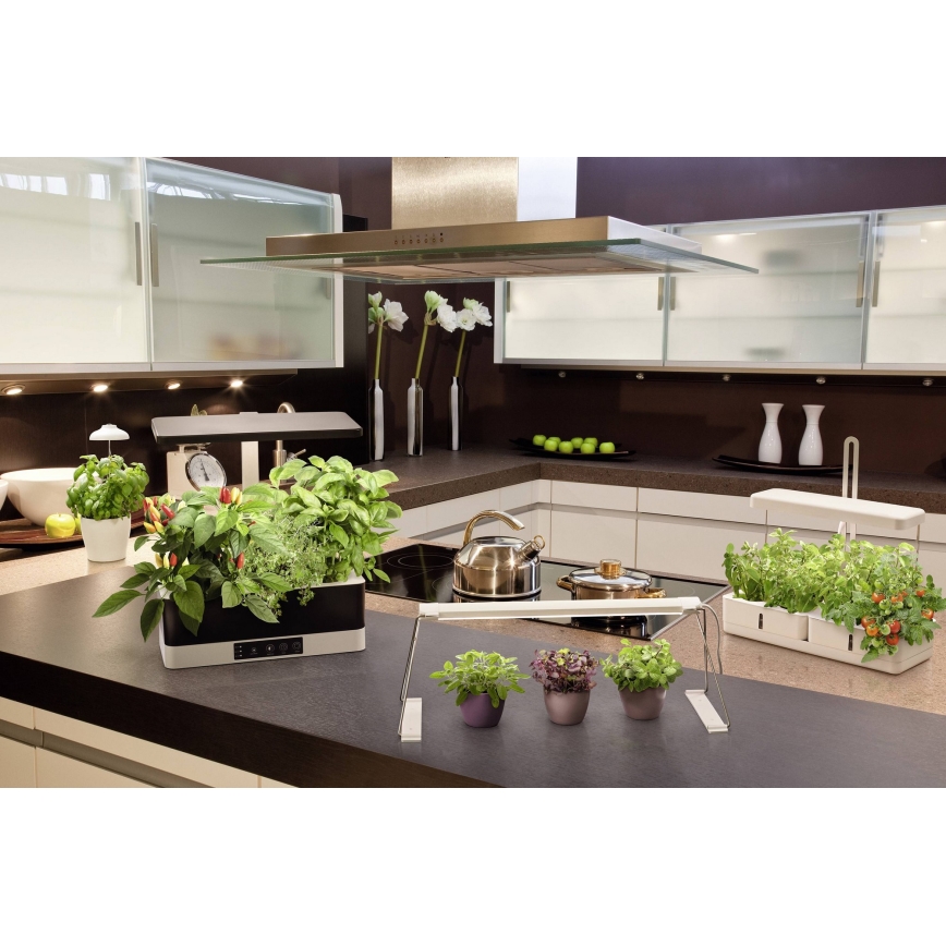 Ledvance - Lampe d'intérieur pour plantes à intensité variable GARDEN KIT LED/24W/230V