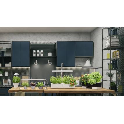 Ledvance - Lampe d'intérieur pour plantes à intensité variable GARDEN KIT LED/24W/230V