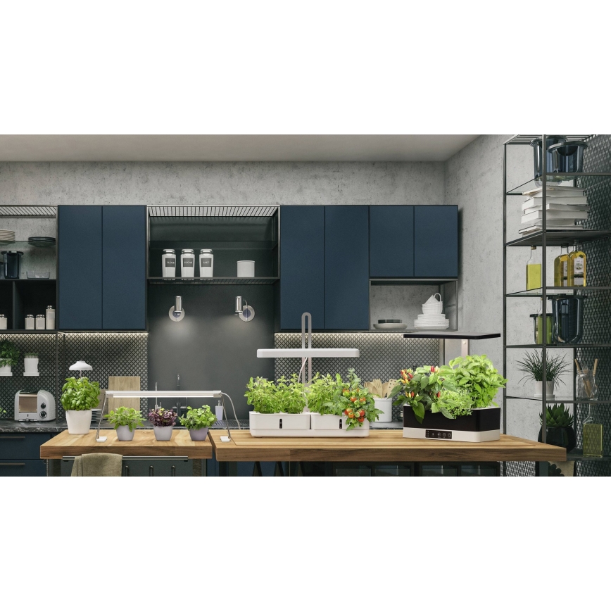 Ledvance - Lampe d'intérieur pour plantes à intensité variable GARDEN KIT LED/24W/230V