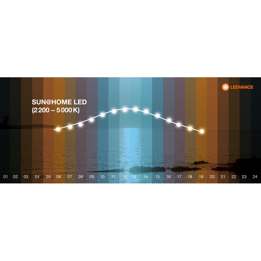 Ledvance - Plafonnier à intensité variable LED SUN@HOME LED/35W/230V 2200-5000K CRI 95 Wi-Fi
