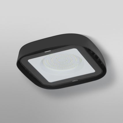Ledvance - Plafonnier industriel HIGHBAY LED/80W/230V IP65 6500K