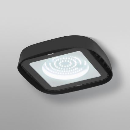 Ledvance - Plafonnier industriel HIGHBAY LED/80W/230V IP65 6500K