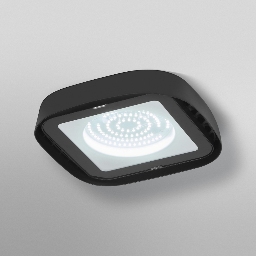 Ledvance - Plafonnier industriel HIGHBAY LED/80W/230V IP65 6500K