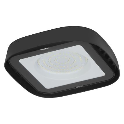 Ledvance - Plafonnier industriel HIGHBAY LED/80W/230V IP65 6500K
